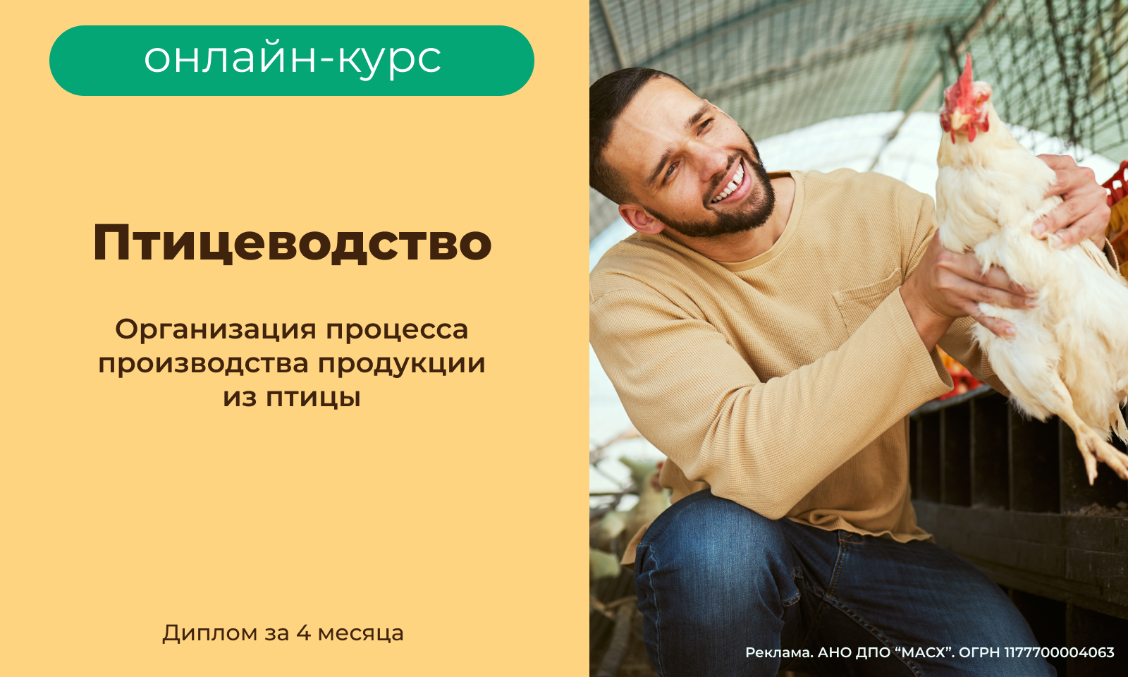 Птицеводство (800х480)