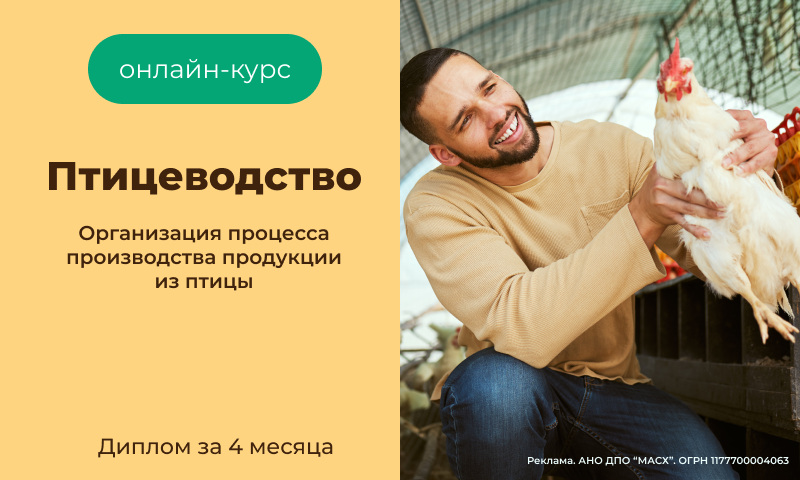 Птицеводство (400х240)