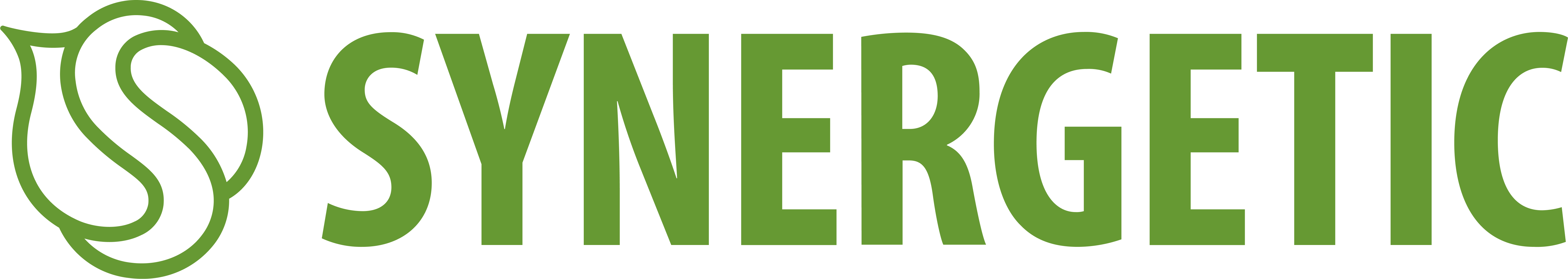 Synergetic